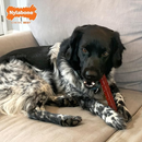 POWER CHEW BLASTED BONES