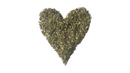 MAD CAT CAT NIP