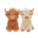 HIGHLAND SHAGGY COW