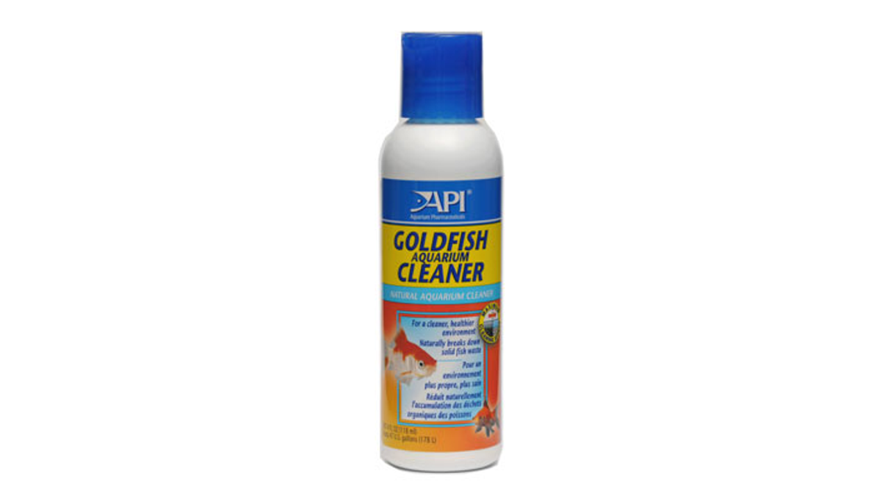 Beautiful view of Goldfish Pond Self-Cleaning Products