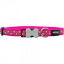 RED DINGO STARS COLLAR