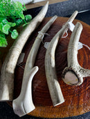 DEER ANTLER (SINGLES)