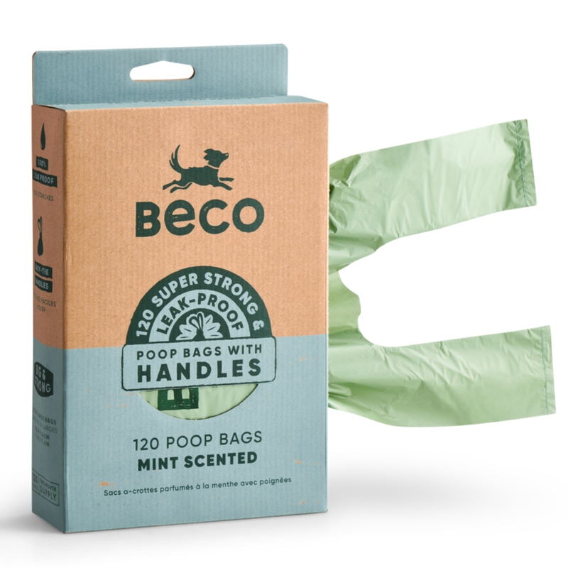 BECO BAGS MINT WITH HANDLES