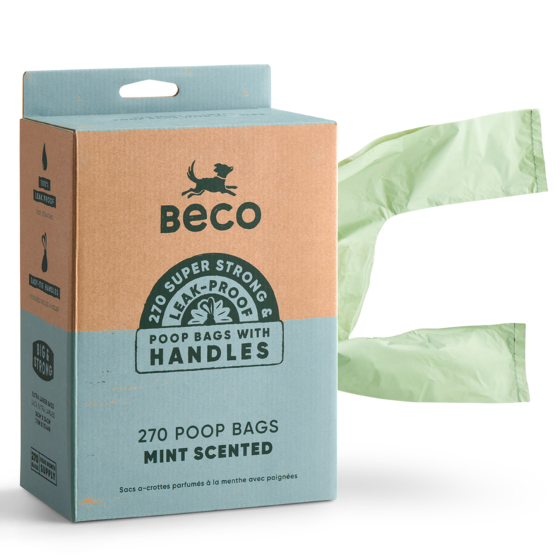 BECO BAGS MINT WITH HANDLES