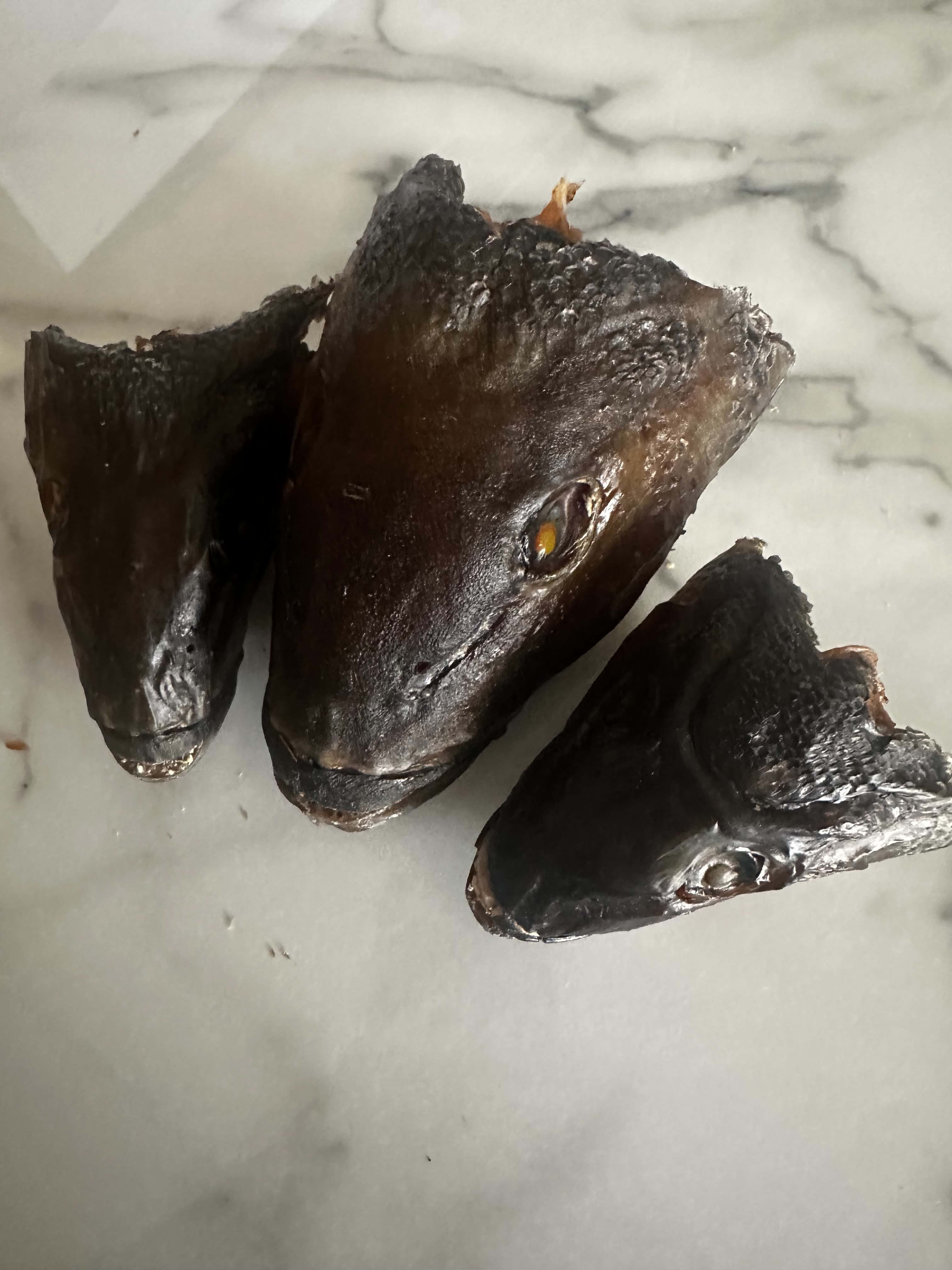 FISH OF THE WEEK - BLUE COD