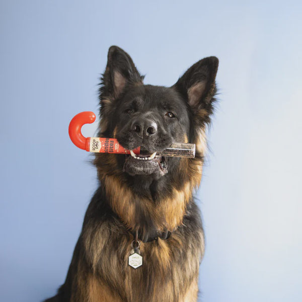 SCOOP DOG REINDEER BITES CANDY CANE