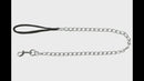 TRIXIE CHAIN LEAD
