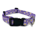 DAISY PURPLE COLLAR & LEAD