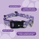 DAISY PURPLE COLLAR & LEAD