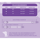 DAISY PURPLE COLLAR & LEAD