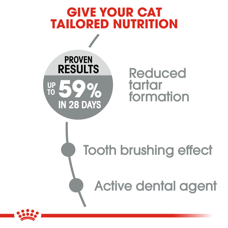 ROYAL CANIN DENTAL CAT FOOD