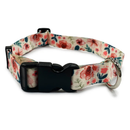 SPRING FLORAL COLLAR & LEAD