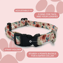 SPRING FLORAL COLLAR & LEAD