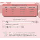 SPRING FLORAL COLLAR & LEAD