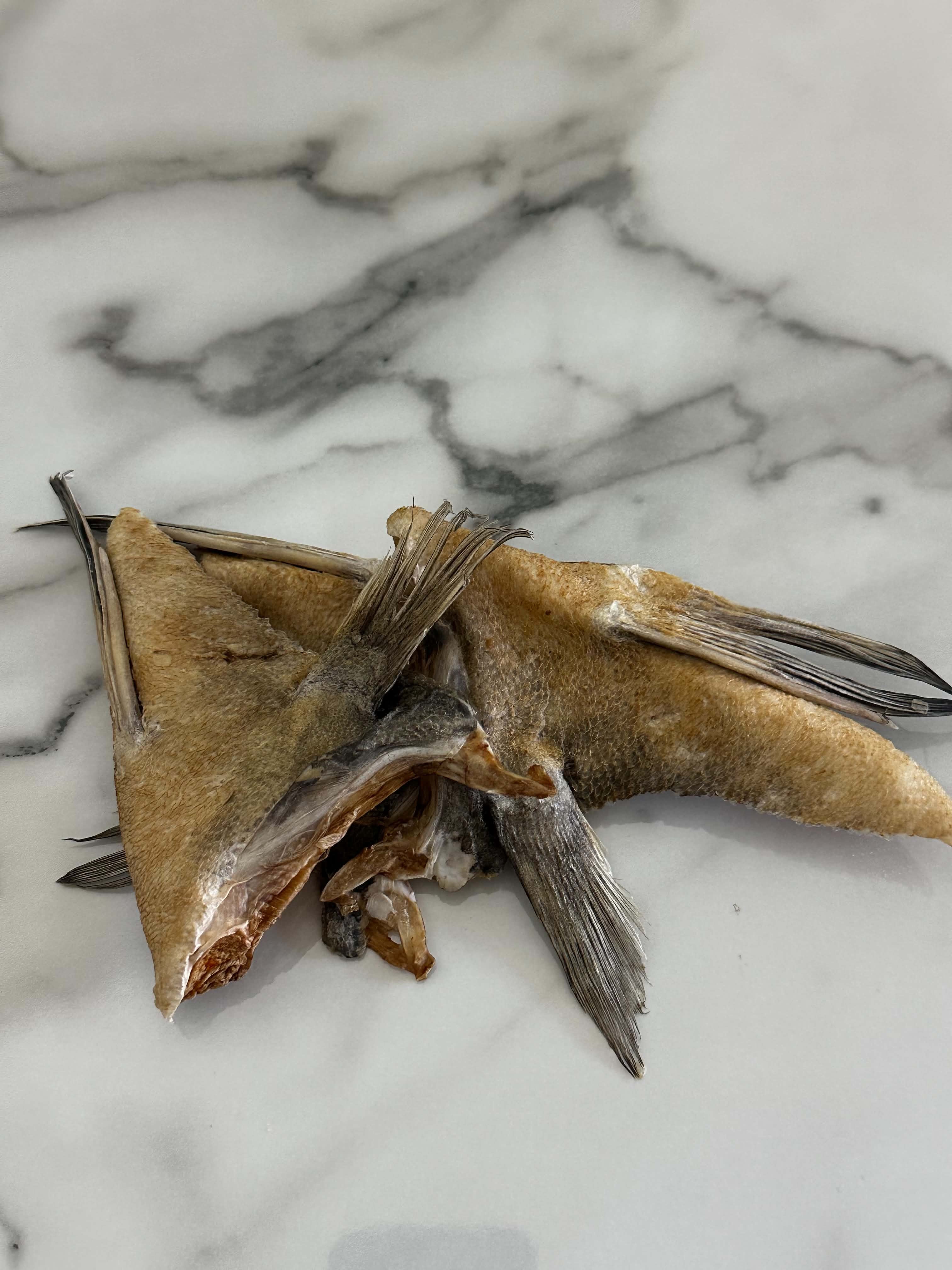 FISH OF THE WEEK