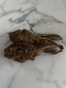 HARE