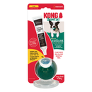 KONG DENTALBALL WITH SOLUTION