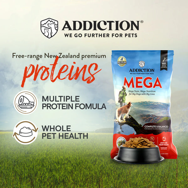 ADDICTION MEGA GRAIN-FREE ADULT MEDIUM - LARGE BREED 20KG