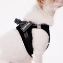 EZYDOG FORMFIT  MESH HARNESS