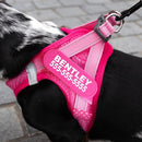 EZYDOG FORMFIT  MESH HARNESS