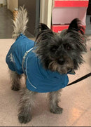 HUSKIMO PEAK DOG COAT