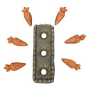 PET ONE TREAT CARROT PATCH