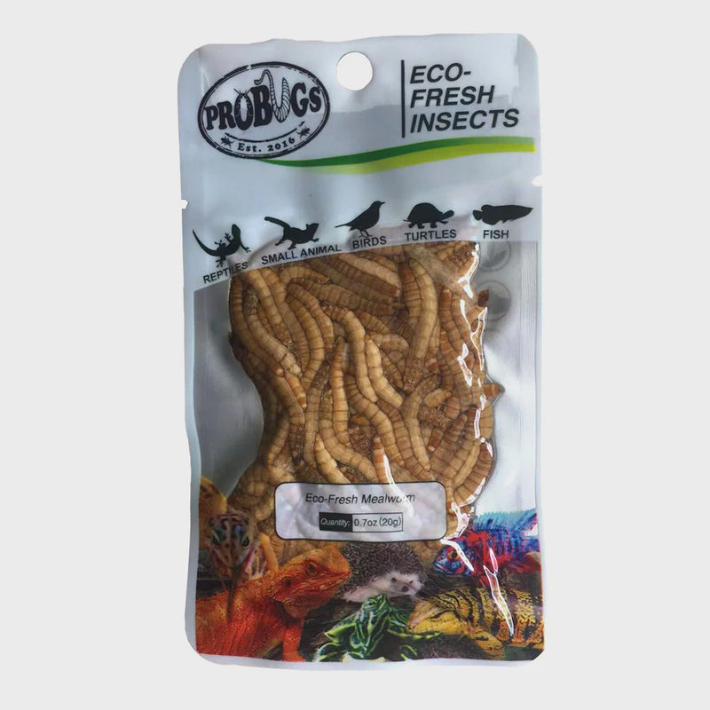 PRO BUGS MEALWORMS 20G