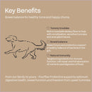 FOUR FLAX PROBIOTICS CANINE (DIGEST AID)