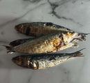 SARDINES