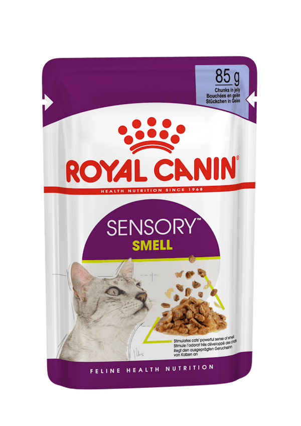 ROYAL CANIN SENSORY SMELL WET CAT FOOD