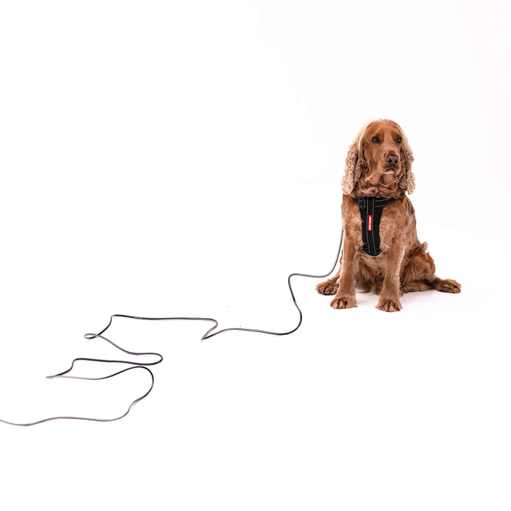 ED Slimline Track n Train Leash