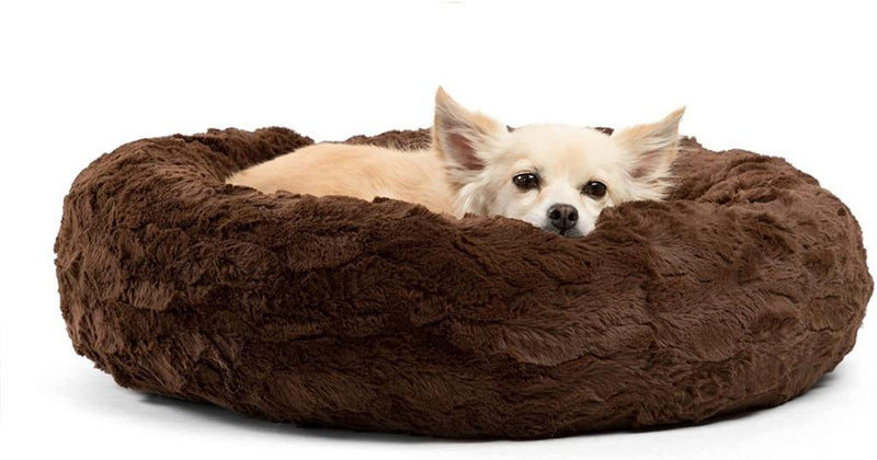 CALMING DOG BED