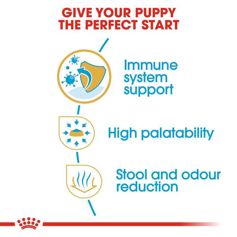 ROYAL CANIN CHIHUAHUA PUPPY FOOD