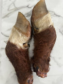 Whole Cow Leg – For the Serious Chewer