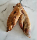 PIG TROTTER