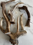 DEER ANTLER (SINGLES)