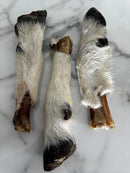 SHEEP LEGS