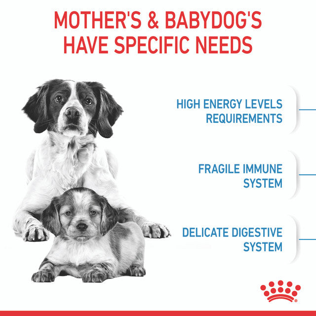 ROYAL CANIN MEDIUM STARTER MOTHER & BABYDOG