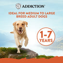 ADDICTION MEGA CHICKEN - LARGE BREED ADULT 20KG