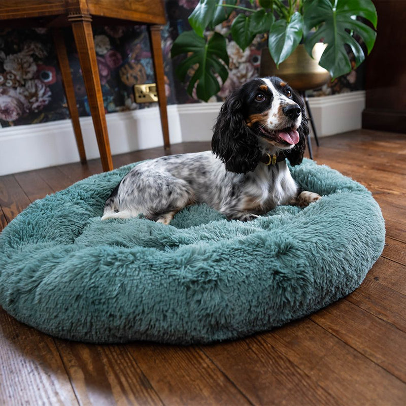 CALMING DOG BED