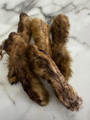 WILD RABBIT