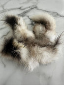 WILD RABBIT