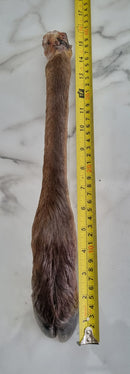 WHOLE VENISON LEG