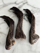 WALLABY LEGS