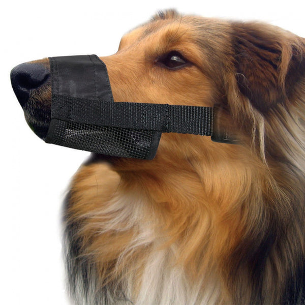 PET ONE MUZZLE