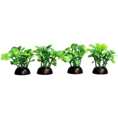 ECOSCAPE LOBELIA 4PK