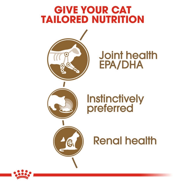 ROYAL CANIN AGEING 12+ CAT FOOD