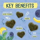 BURGESS FRUITY FEASTS