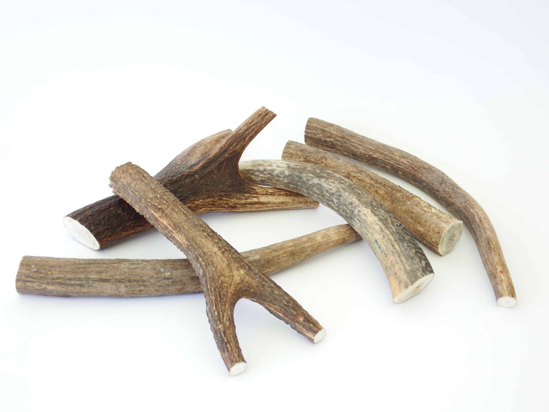 DEER ANTLER (SINGLES)