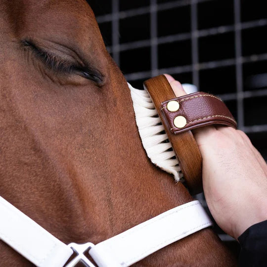 HAIRY PONY FACE BRUSH